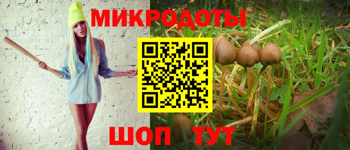 Абинск  Псилоцибиновые грибы GOLDEN TEACHER  Вход с VPN  Псилоцибиновые грибы мицелий 